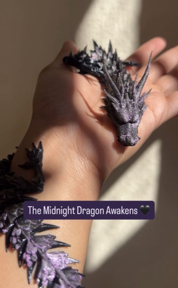 The Midnight Dragon